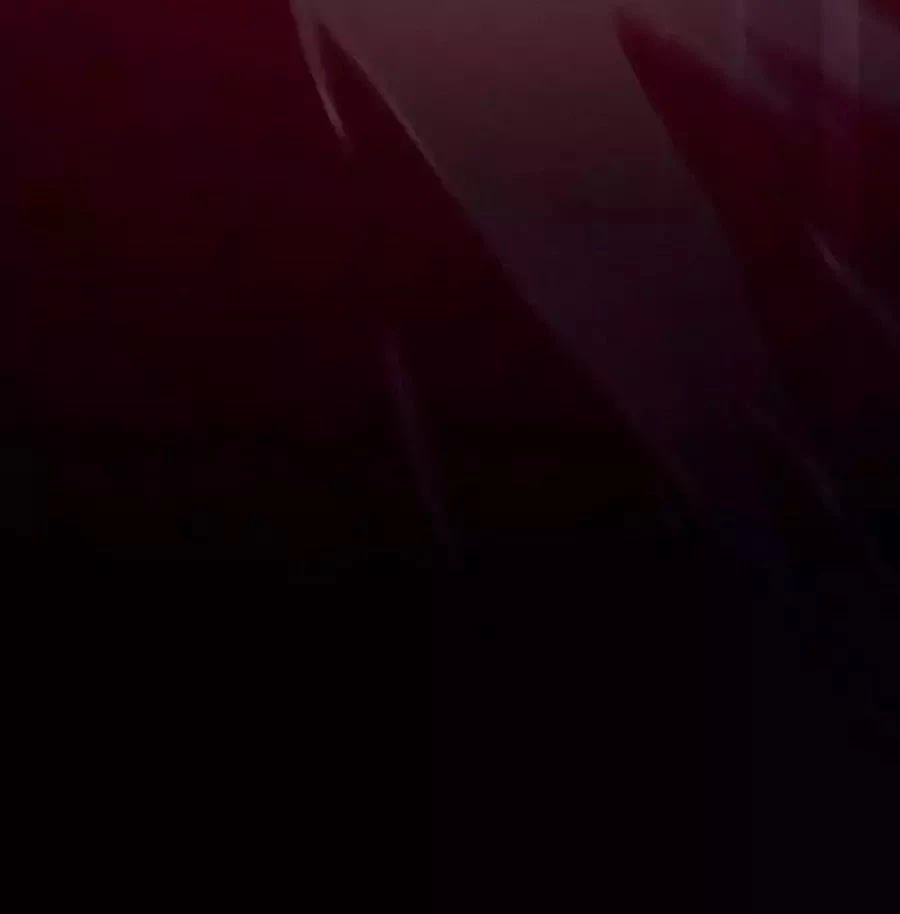 Hậu Cung Của Nữ Đế Chapter 76 - 74