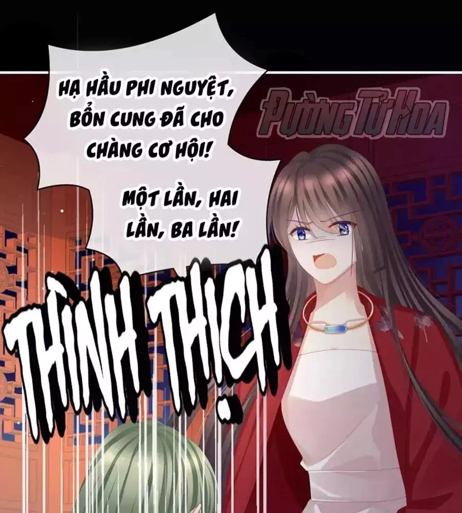 Hậu Cung Của Nữ Đế Chapter 76 - 87