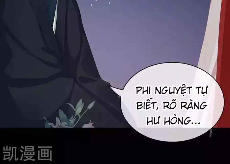 Hậu Cung Của Nữ Đế Chapter 76 - 114