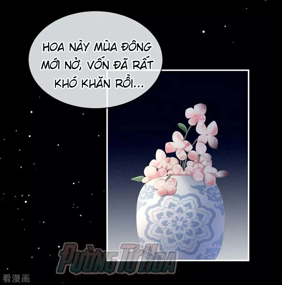 Hậu Cung Của Nữ Đế Chapter 82 - 46