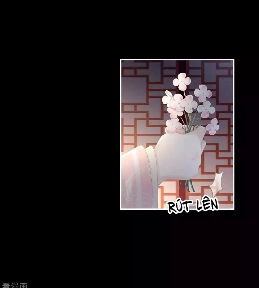 Hậu Cung Của Nữ Đế Chapter 82 - 50