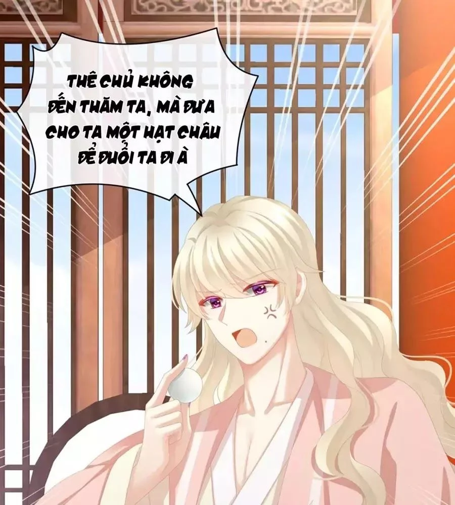 Hậu Cung Của Nữ Đế Chapter 87 - 35