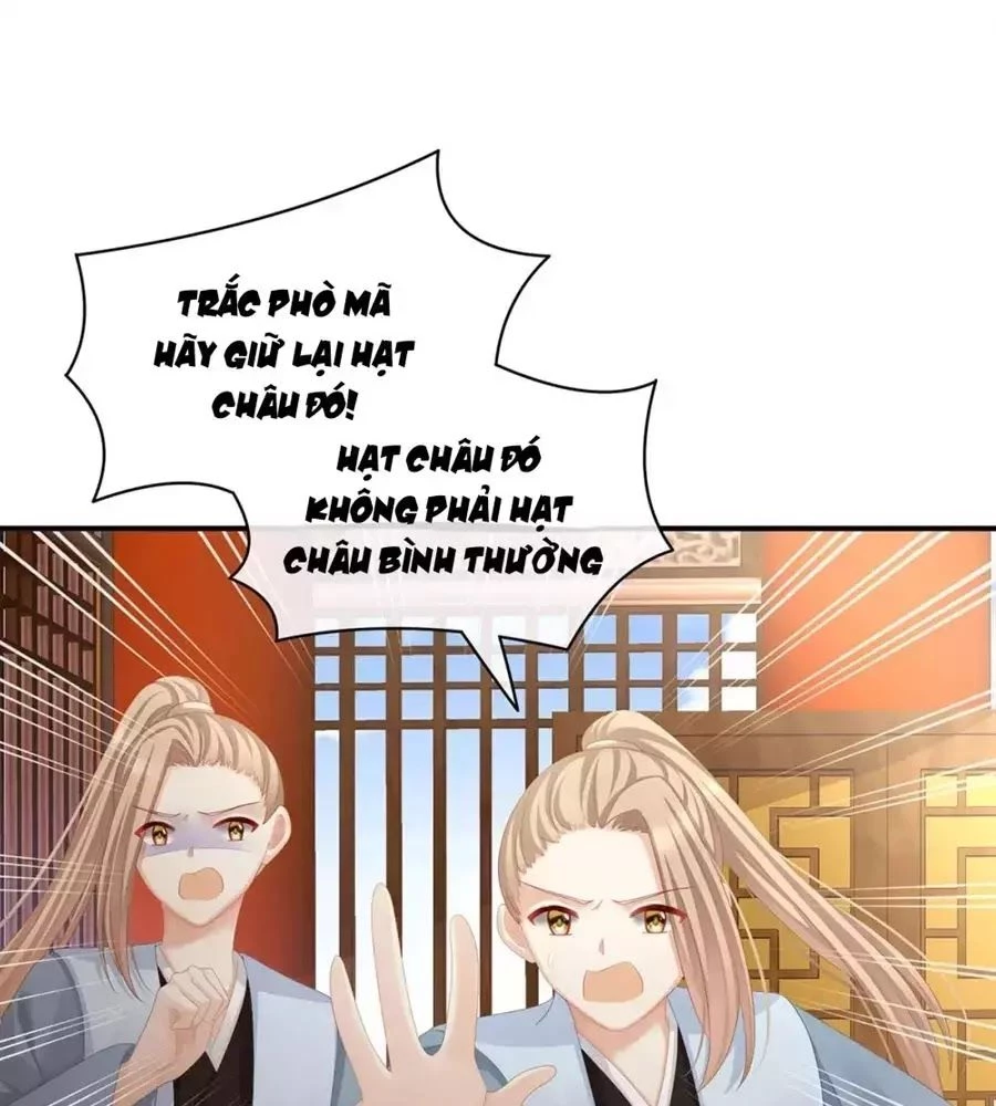 Hậu Cung Của Nữ Đế Chapter 87 - 39