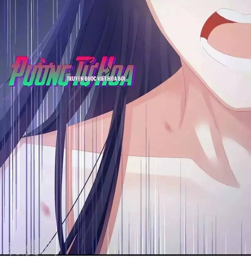 Hậu Cung Của Nữ Đế Chapter 95 - 60