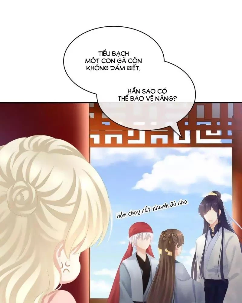 Hậu Cung Của Nữ Đế Chapter 97 - 31