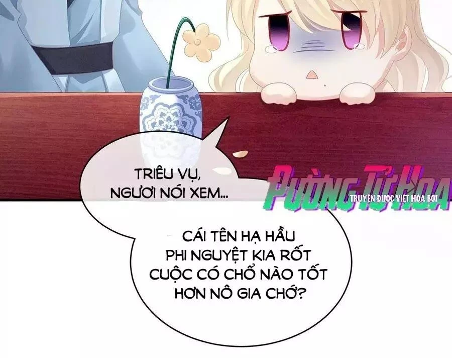 Hậu Cung Của Nữ Đế Chapter 98 - 64