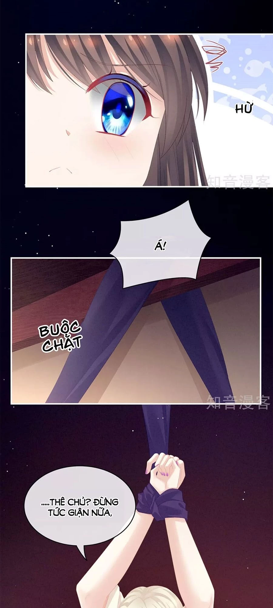 Hậu Cung Của Nữ Đế Chapter 108 - 31