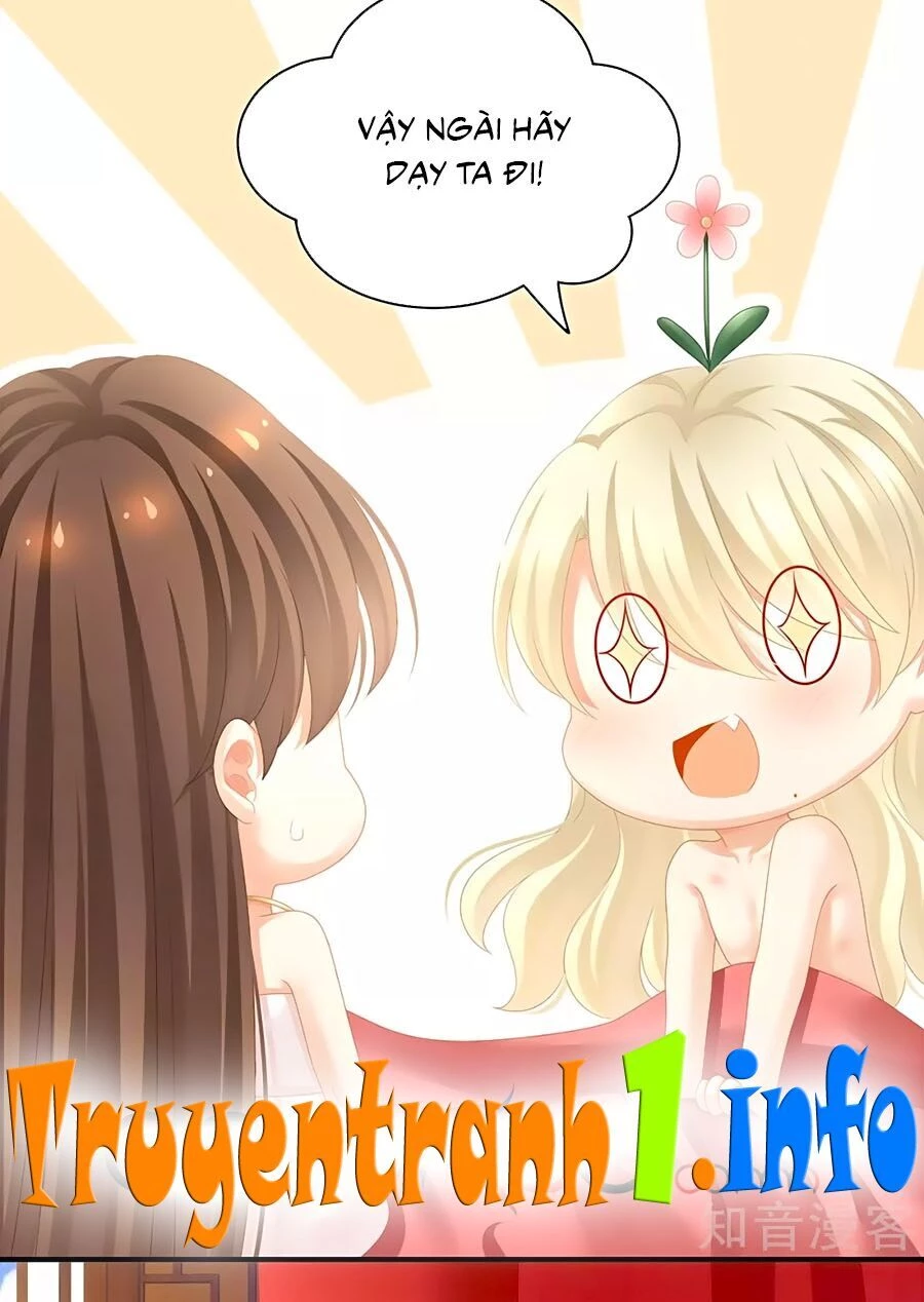 Hậu Cung Của Nữ Đế Chapter 110 - 13