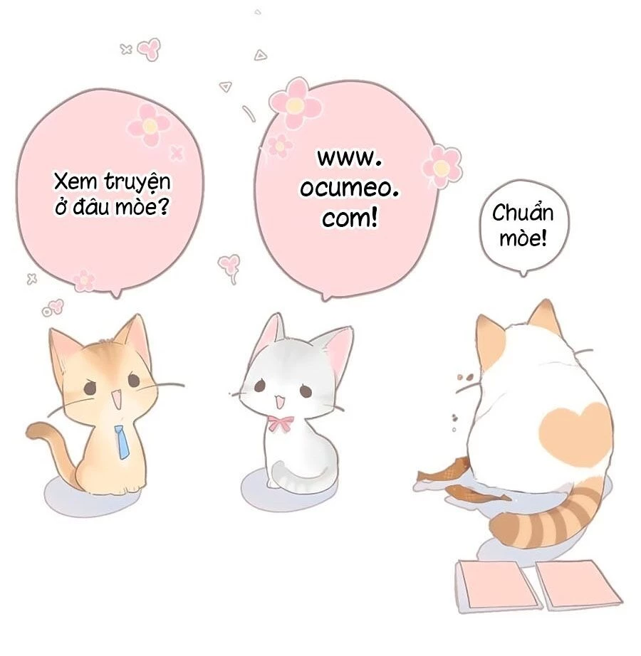 Hậu Cung Của Nữ Đế Chapter 116 - 43