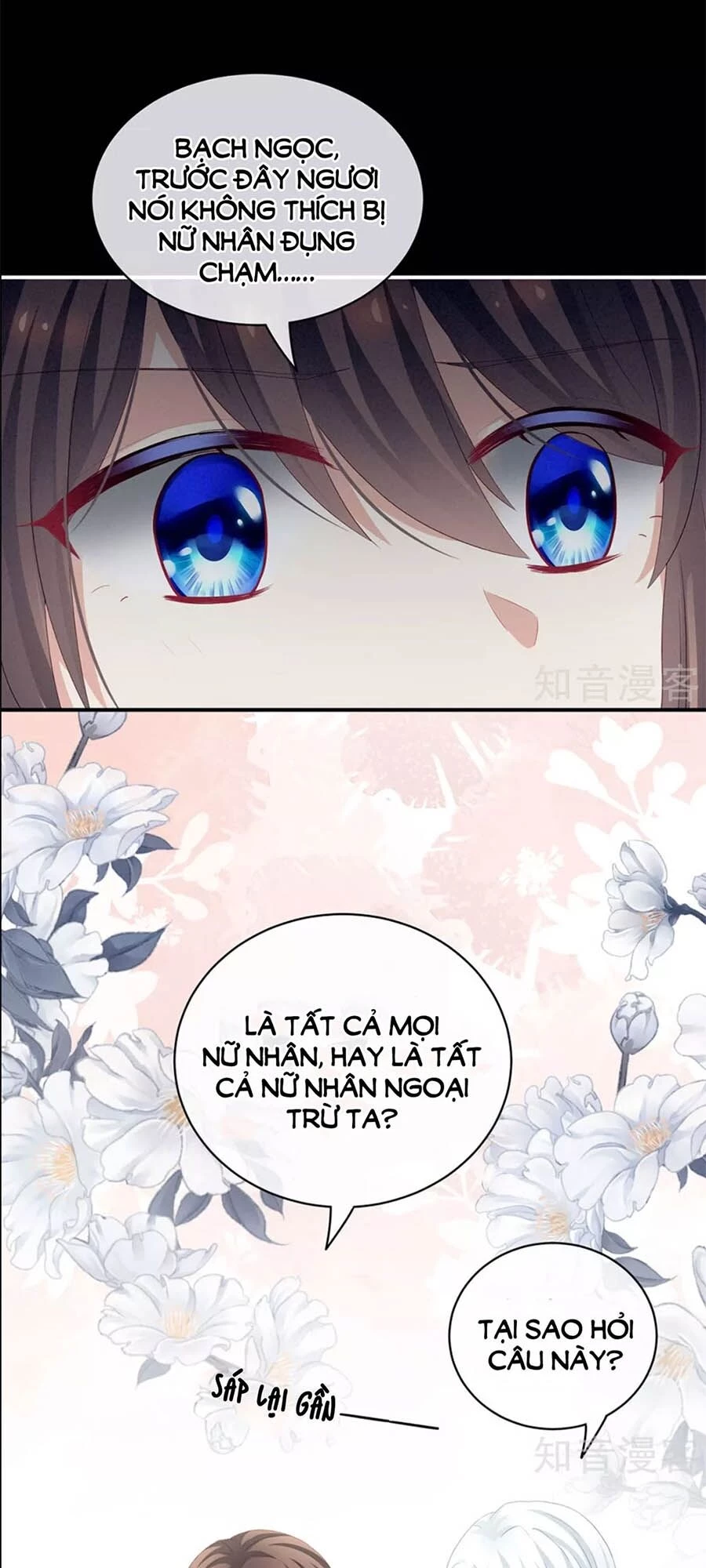 Hậu Cung Của Nữ Đế Chapter 120 - 24