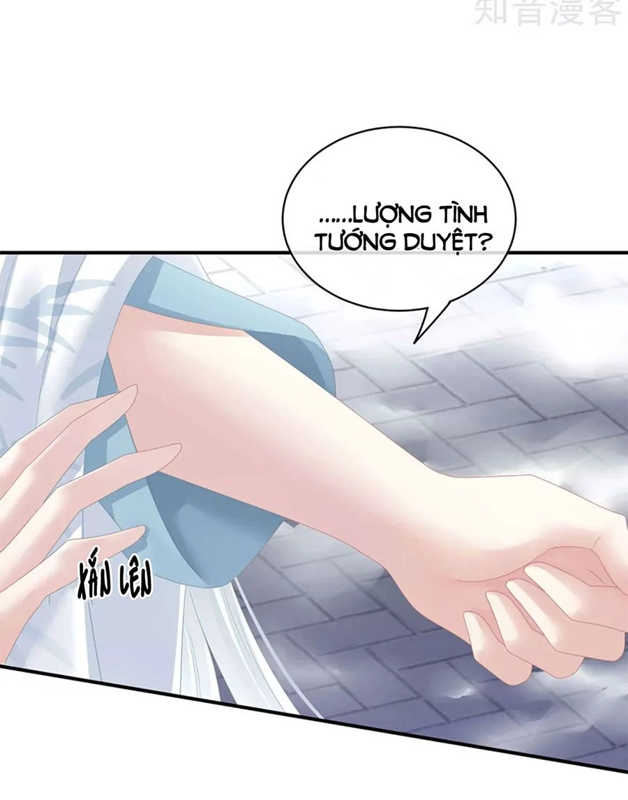 Hậu Cung Của Nữ Đế Chapter 123 - 19