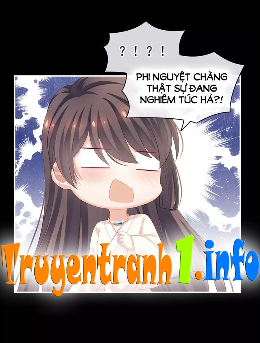 Hậu Cung Của Nữ Đế Chapter 125 - 1