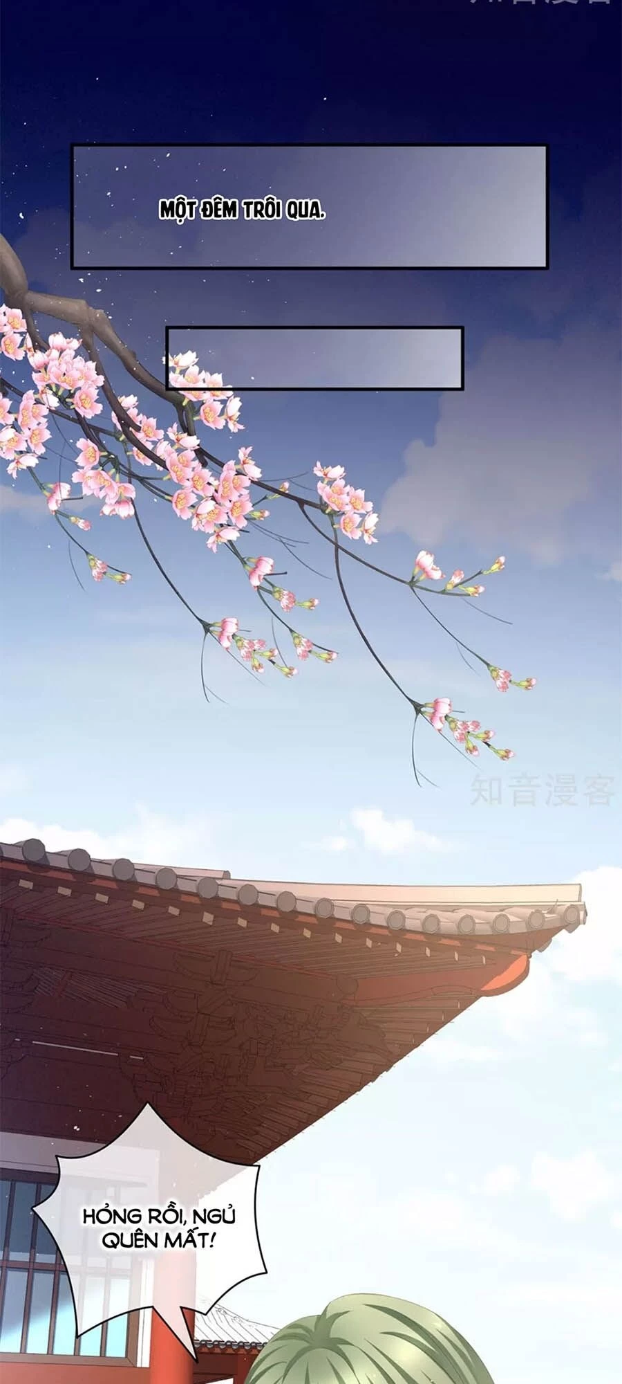 Hậu Cung Của Nữ Đế Chapter 125 - 36