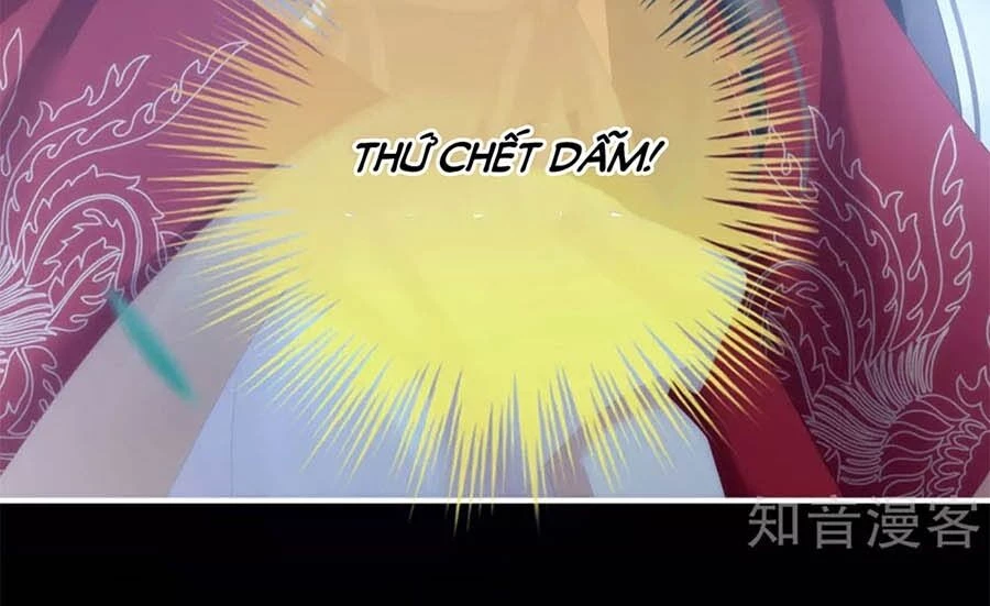 Hậu Cung Của Nữ Đế Chapter 142 - 11
