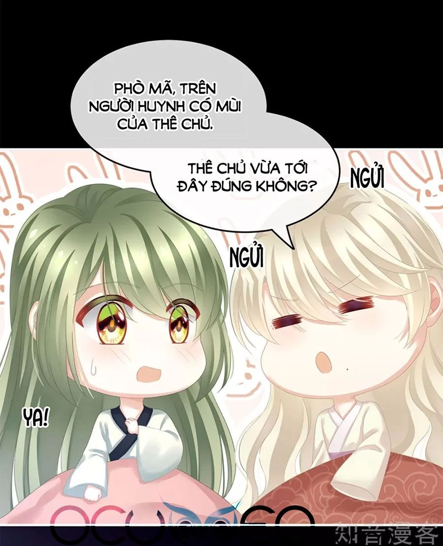 Hậu Cung Của Nữ Đế Chapter 144 - 6