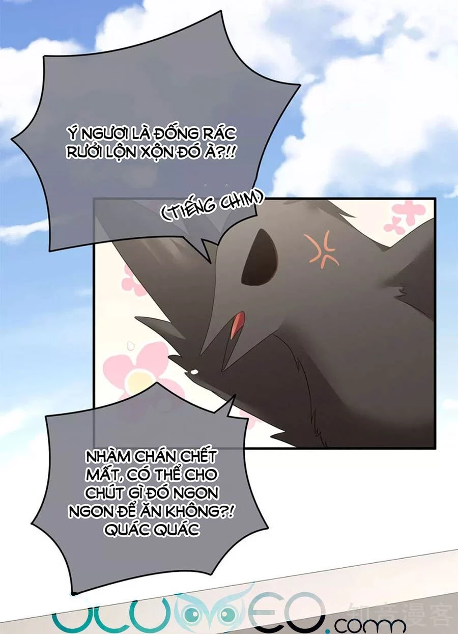 Hậu Cung Của Nữ Đế Chapter 149 - 33