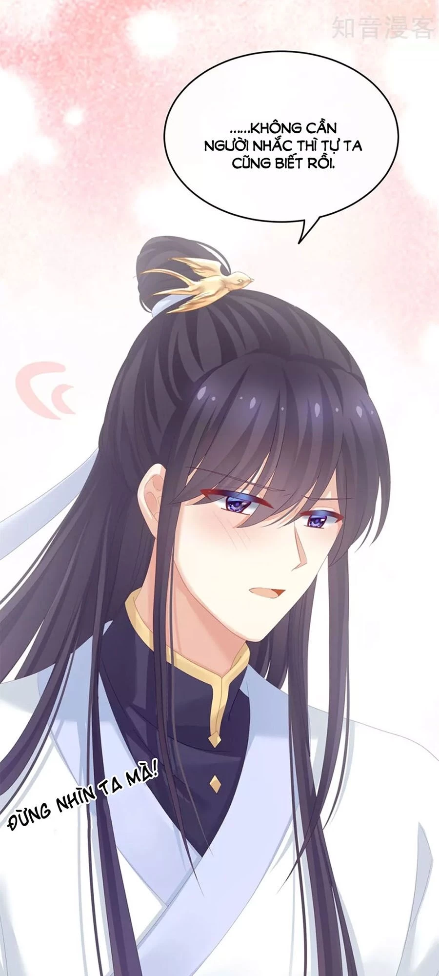 Hậu Cung Của Nữ Đế Chapter 154 - 9