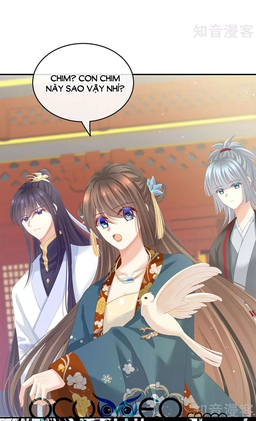 Hậu Cung Của Nữ Đế Chapter 154 - 12