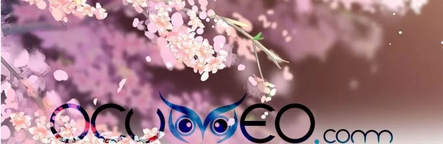 Hậu Cung Của Nữ Đế Chapter 154 - 42