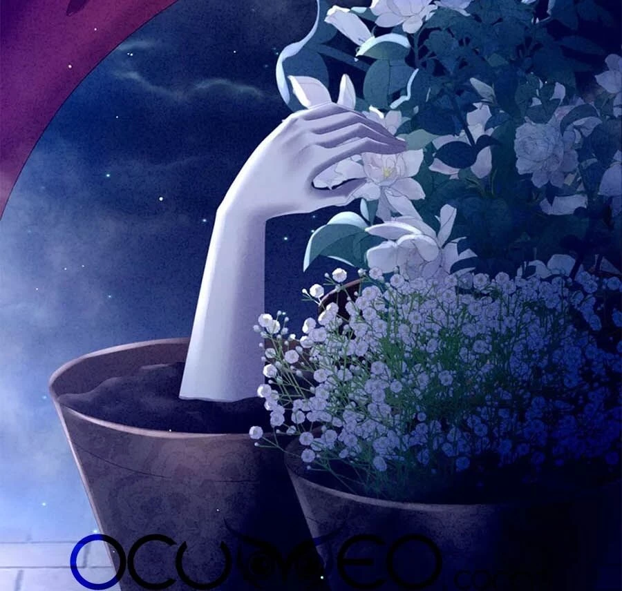 Hậu Cung Của Nữ Đế Chapter 161 - 28