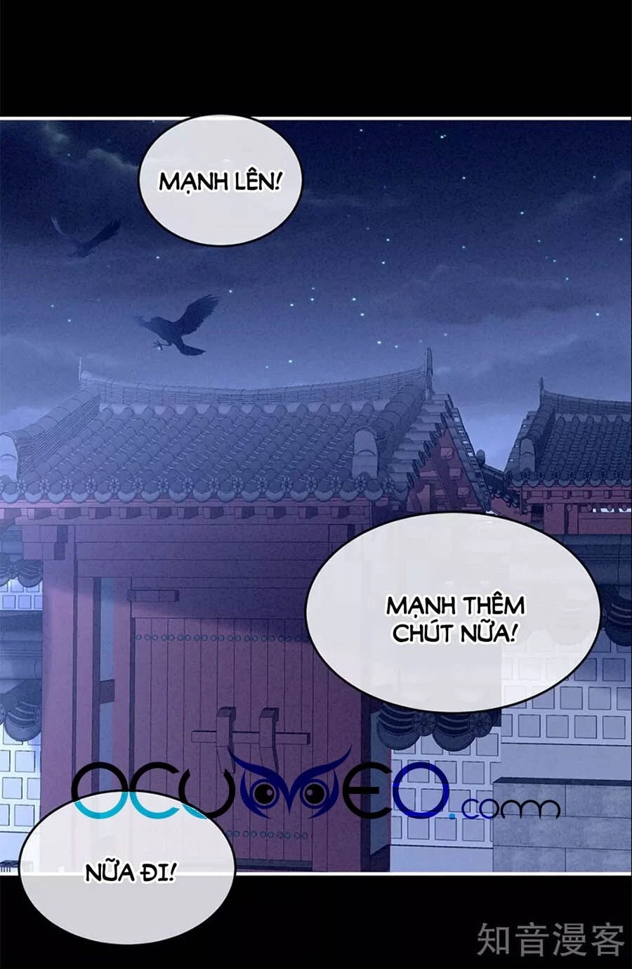 Hậu Cung Của Nữ Đế Chapter 162 - 15