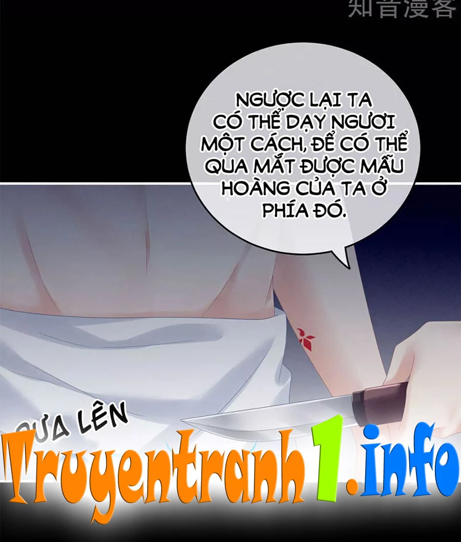 Hậu Cung Của Nữ Đế Chapter 164 - 15