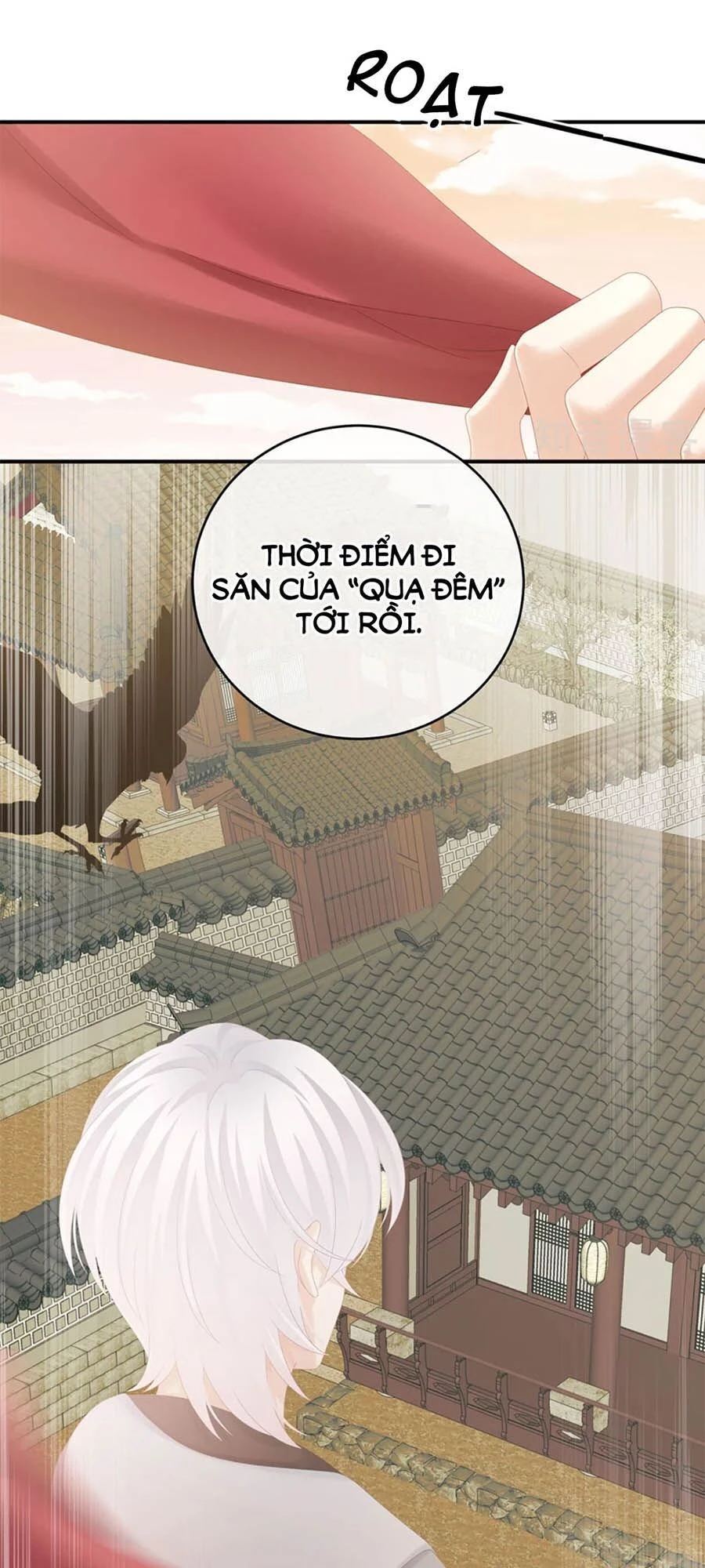 Hậu Cung Của Nữ Đế Chapter 165 - 11