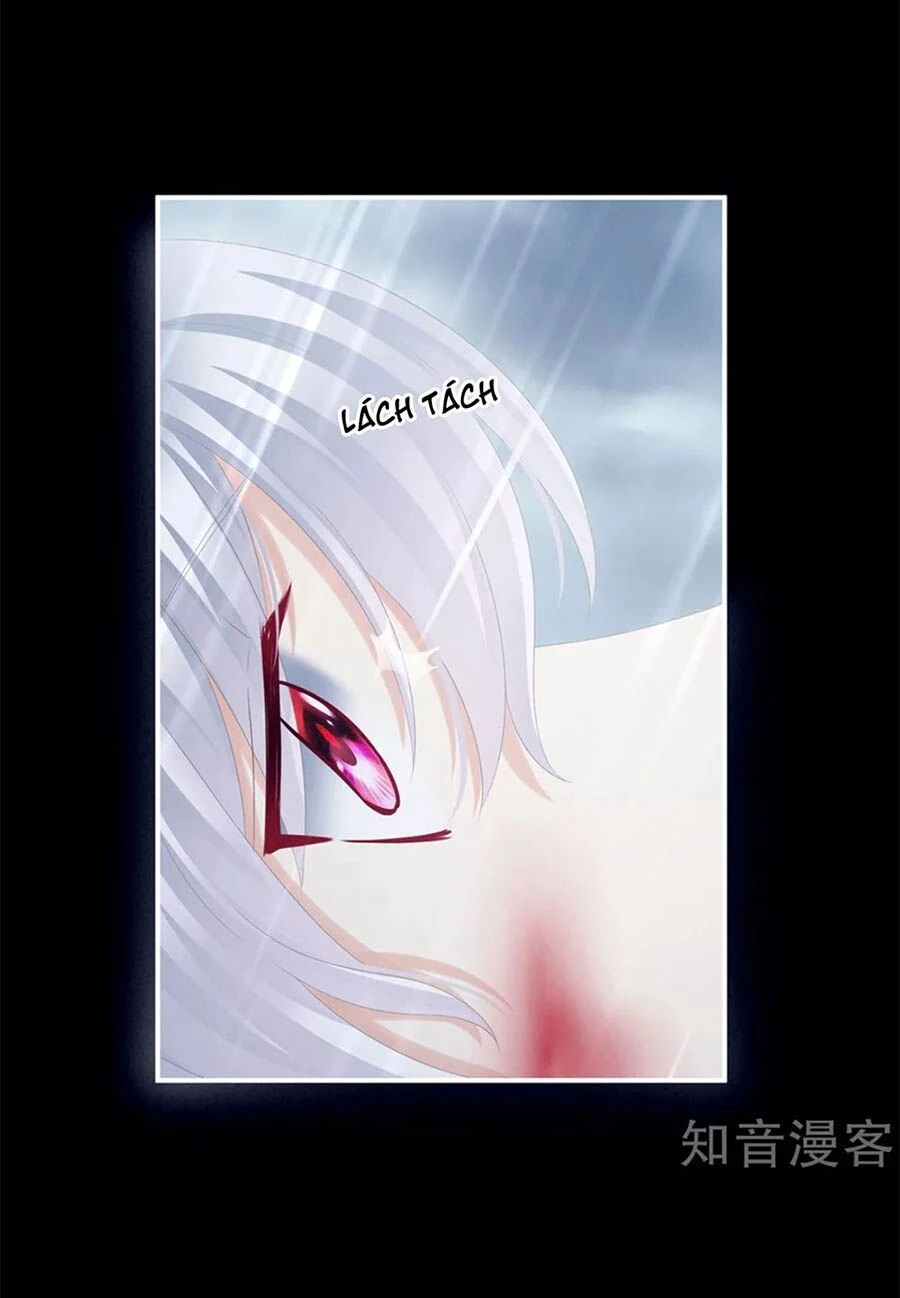 Hậu Cung Của Nữ Đế Chapter 166 - 22