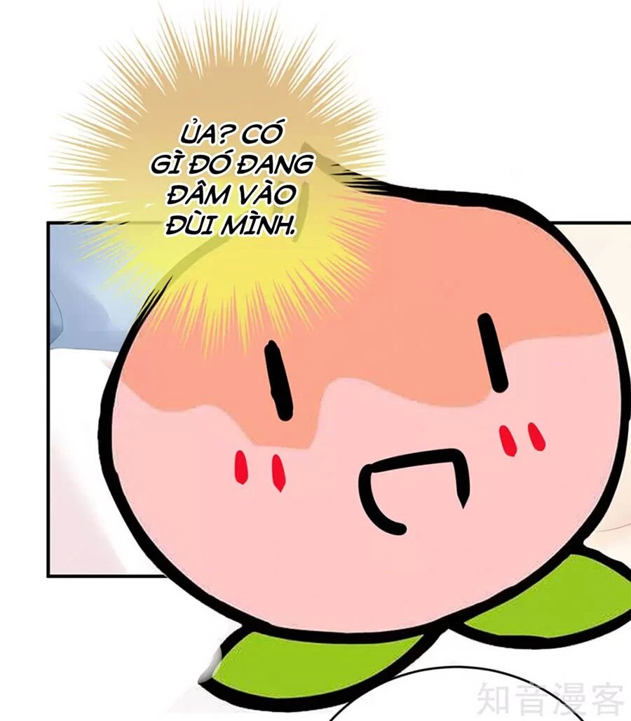 Hậu Cung Của Nữ Đế Chapter 167 - 29