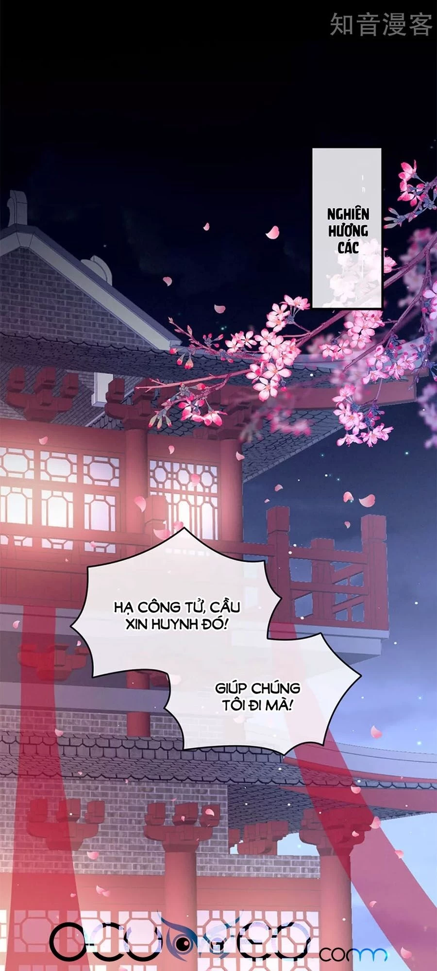 Hậu Cung Của Nữ Đế Chapter 171 - 3