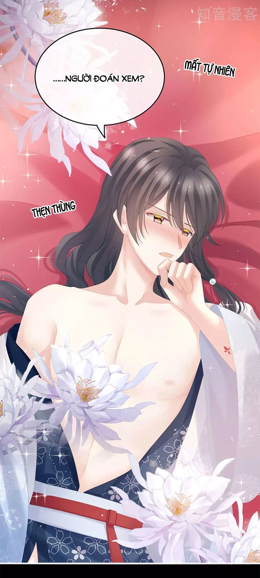 Hậu Cung Của Nữ Đế Chapter 172 - 31