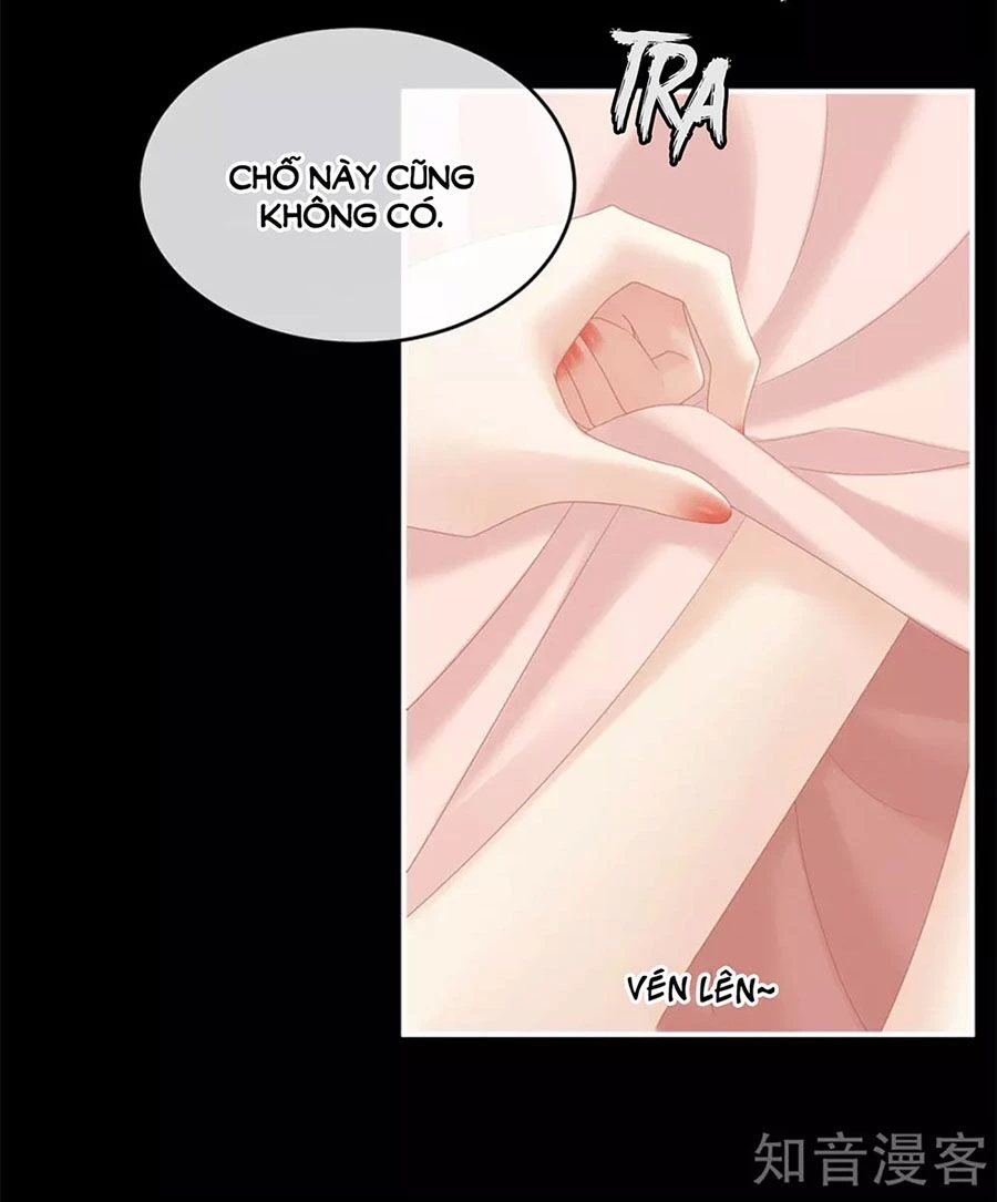 Hậu Cung Của Nữ Đế Chapter 173 - 25