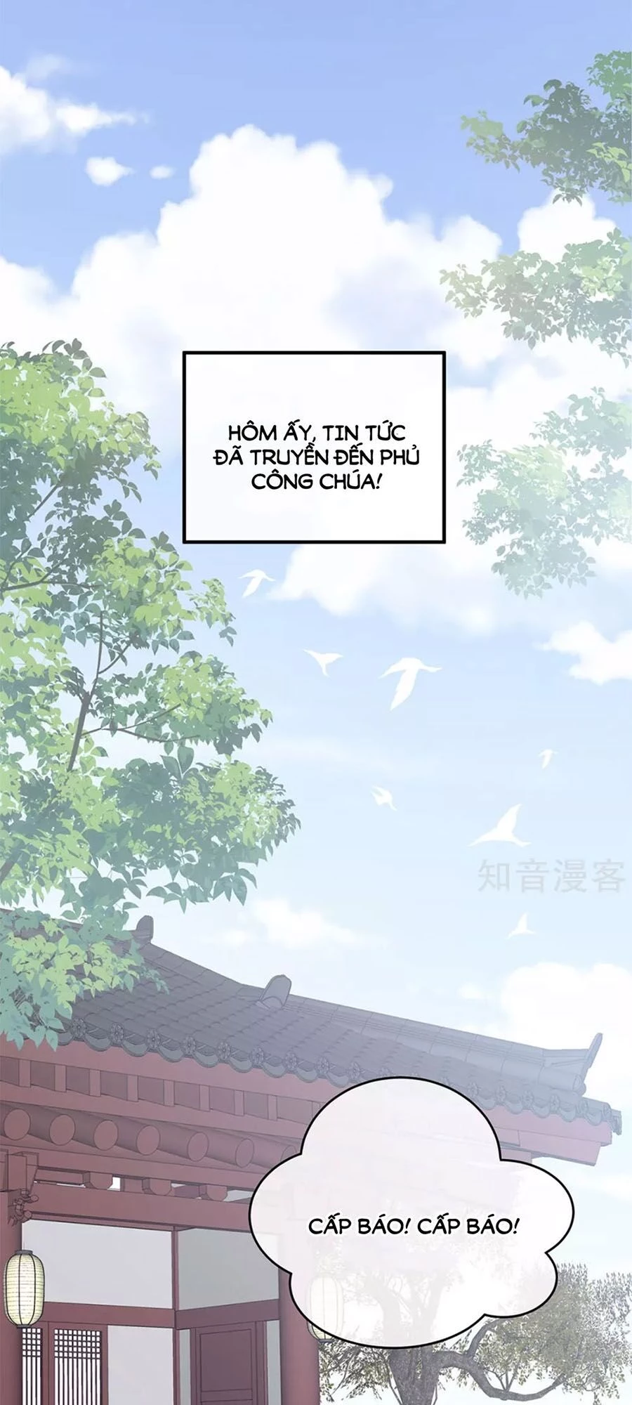 Hậu Cung Của Nữ Đế Chapter 180 - 12