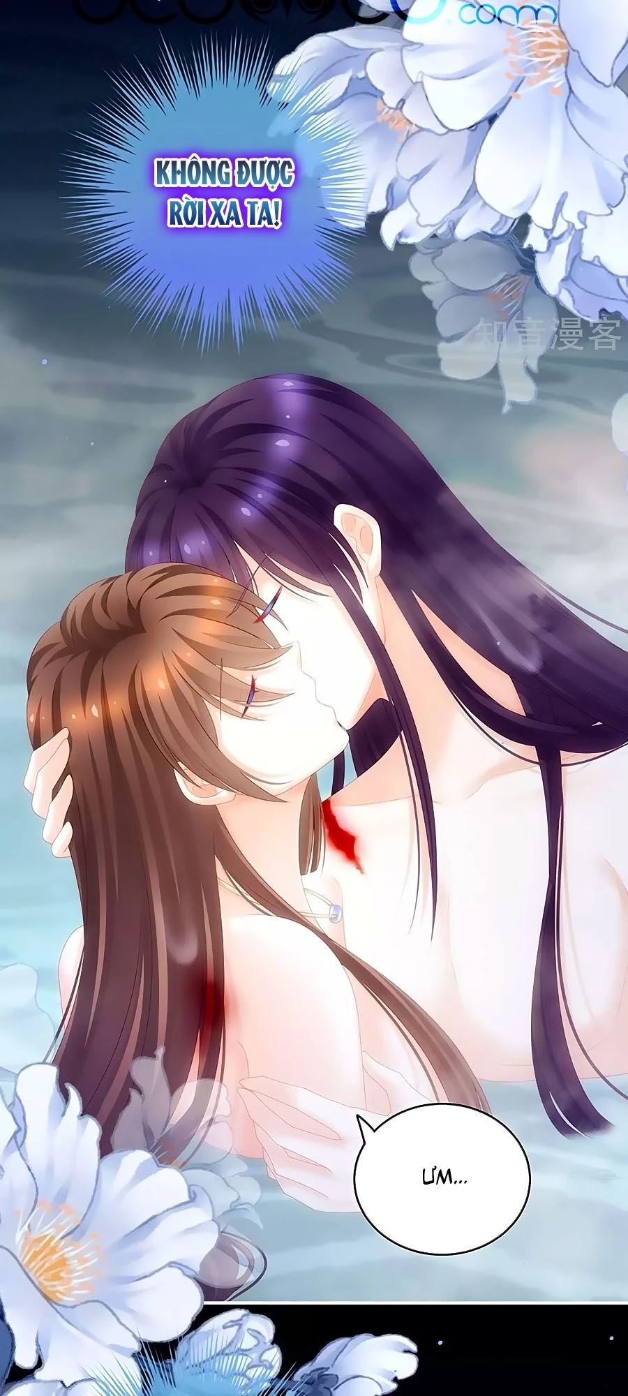 Hậu Cung Của Nữ Đế Chapter 187 - 33