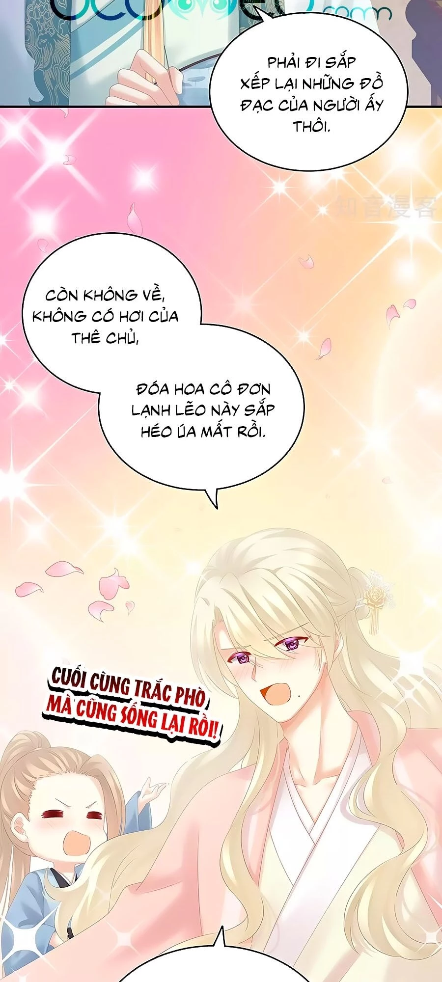 Hậu Cung Của Nữ Đế Chapter 188 - 5