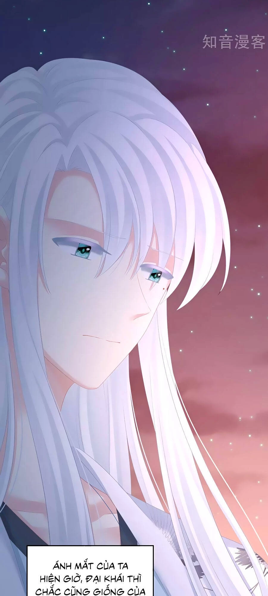 Hậu Cung Của Nữ Đế Chapter 203 - 17