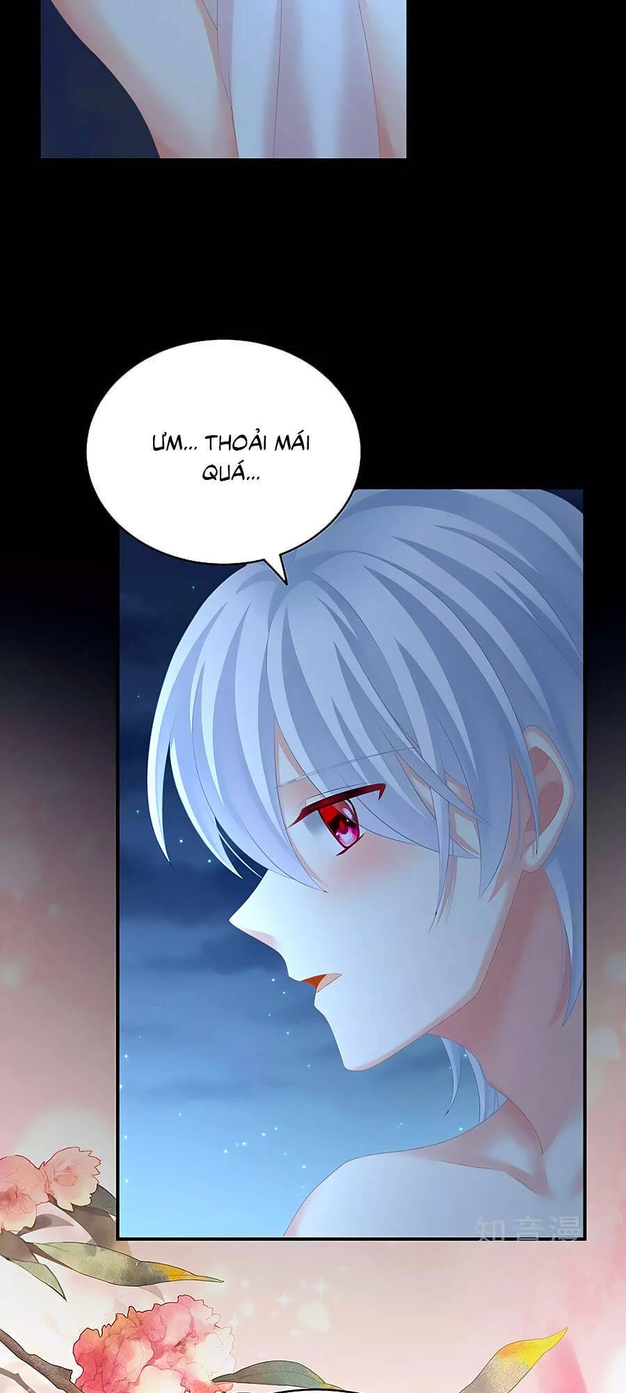 Hậu Cung Của Nữ Đế Chapter 206 - 17