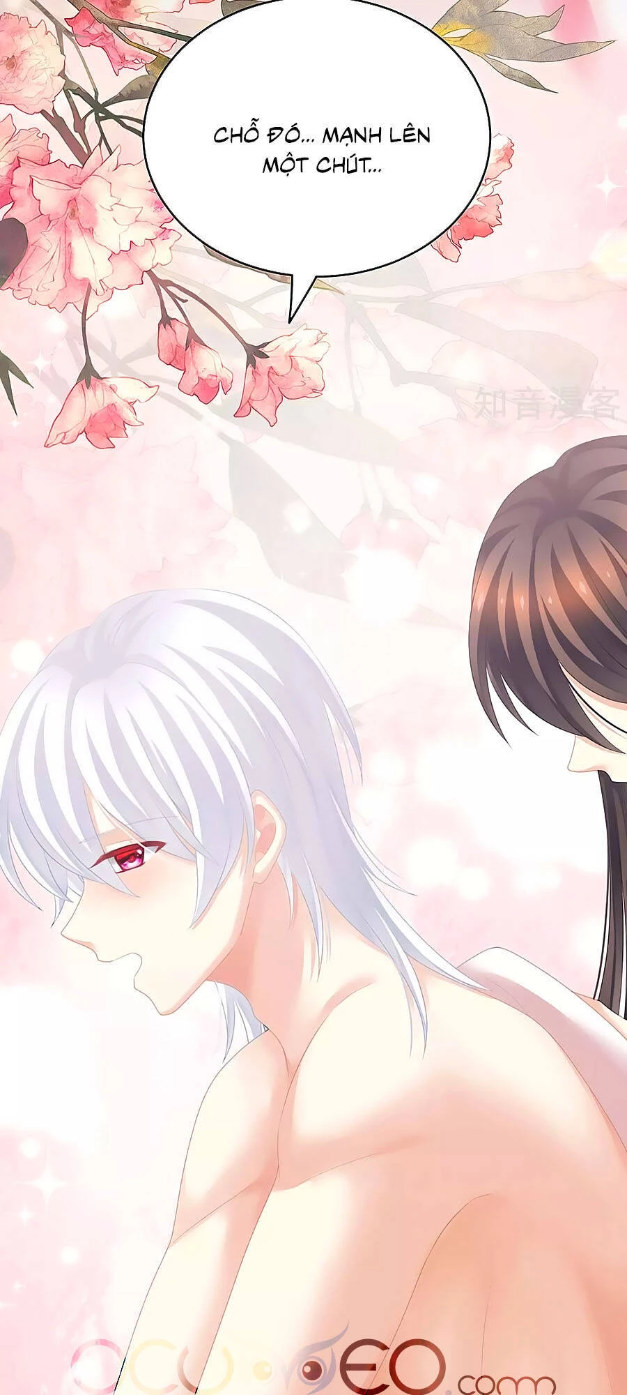 Hậu Cung Của Nữ Đế Chapter 206 - 18