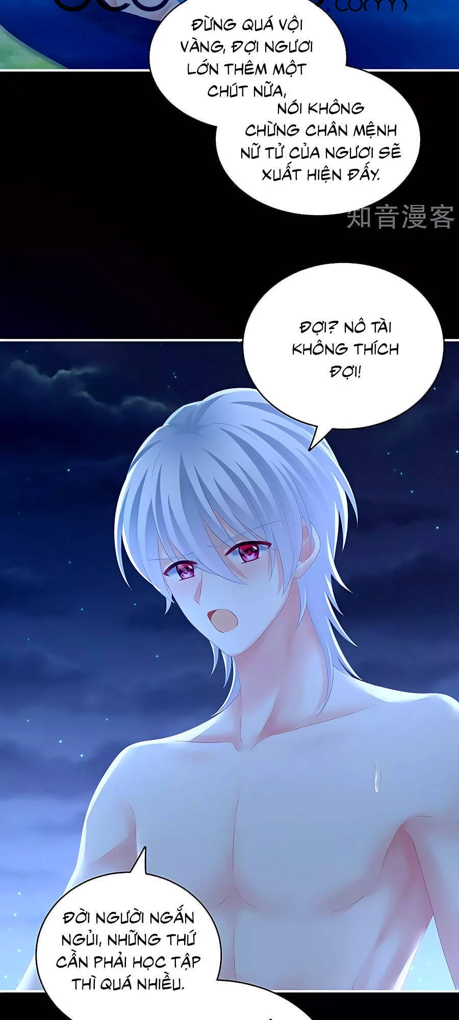 Hậu Cung Của Nữ Đế Chapter 206 - 27