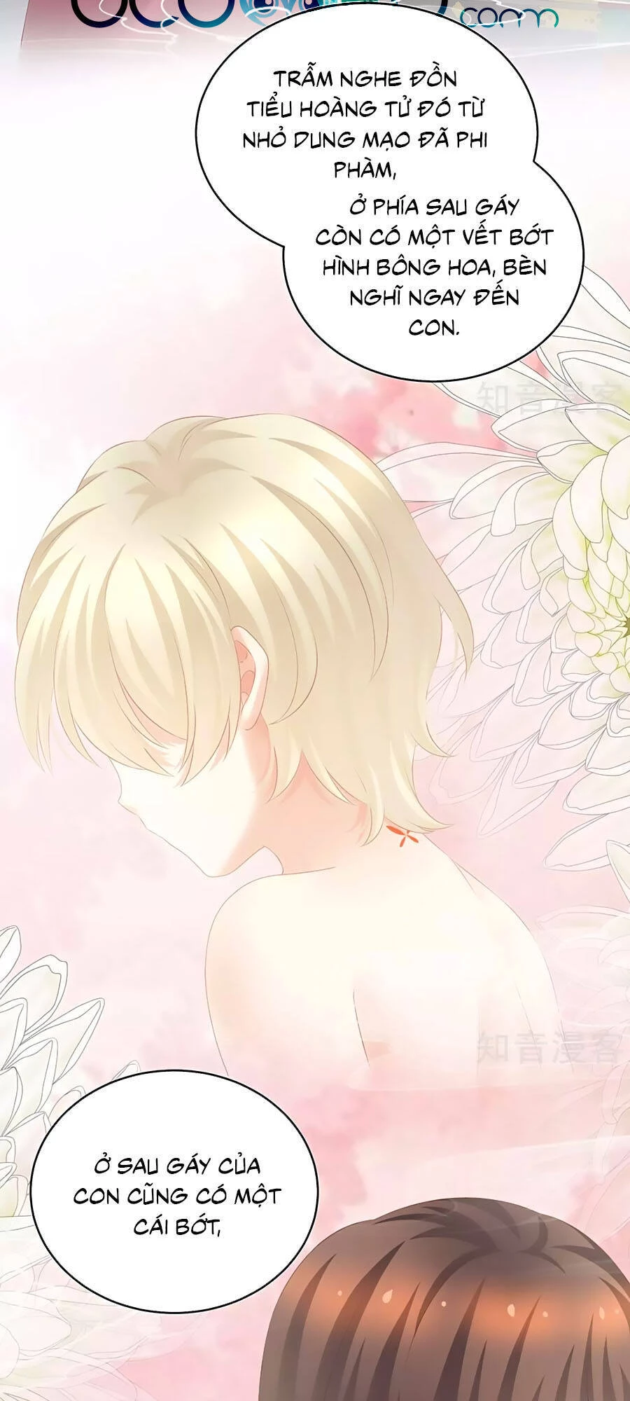 Hậu Cung Của Nữ Đế Chapter 209 - 32