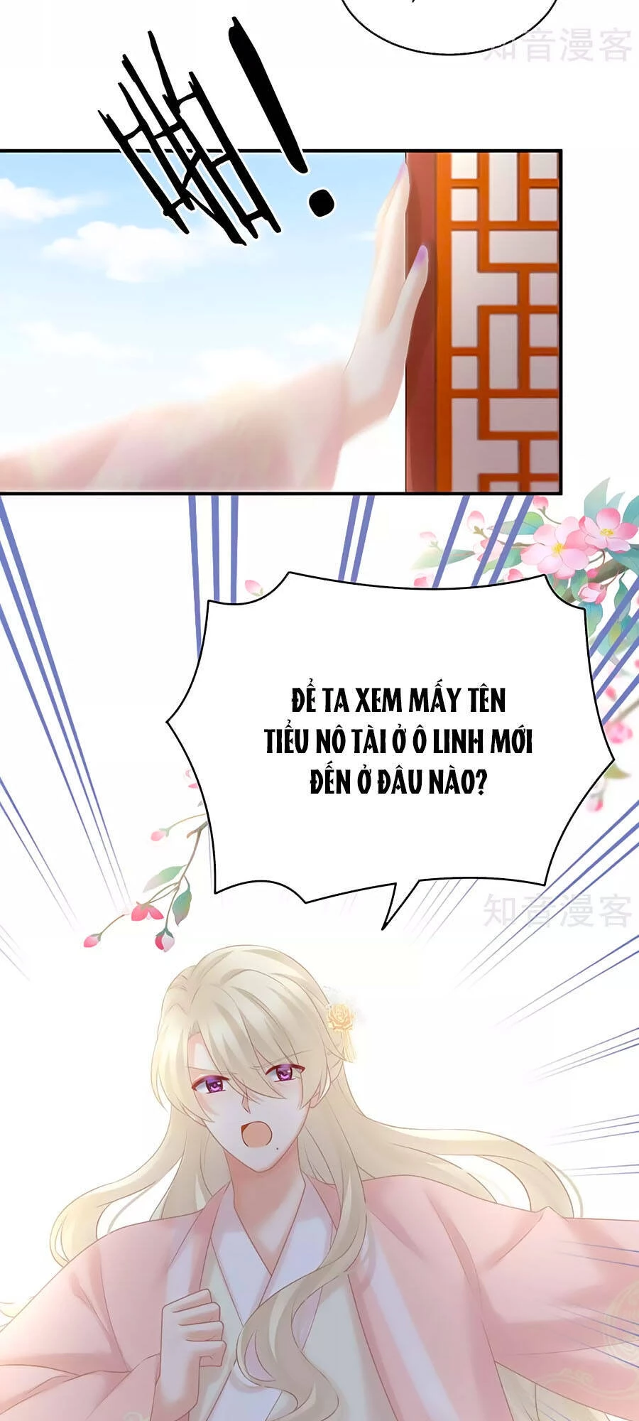 Hậu Cung Của Nữ Đế Chapter 211 - 11