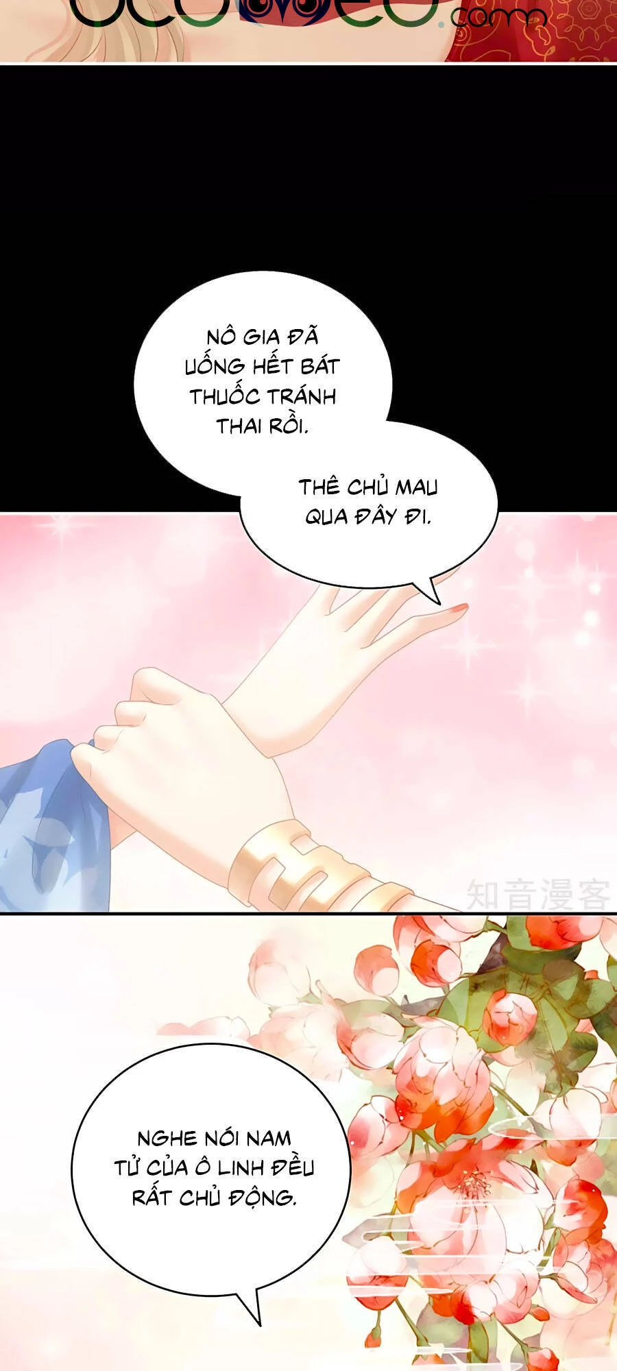 Hậu Cung Của Nữ Đế Chapter 211 - 41