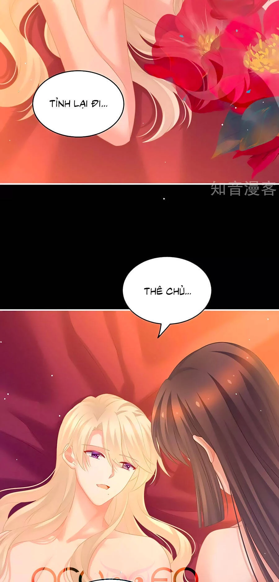 Hậu Cung Của Nữ Đế Chapter 212 - 9