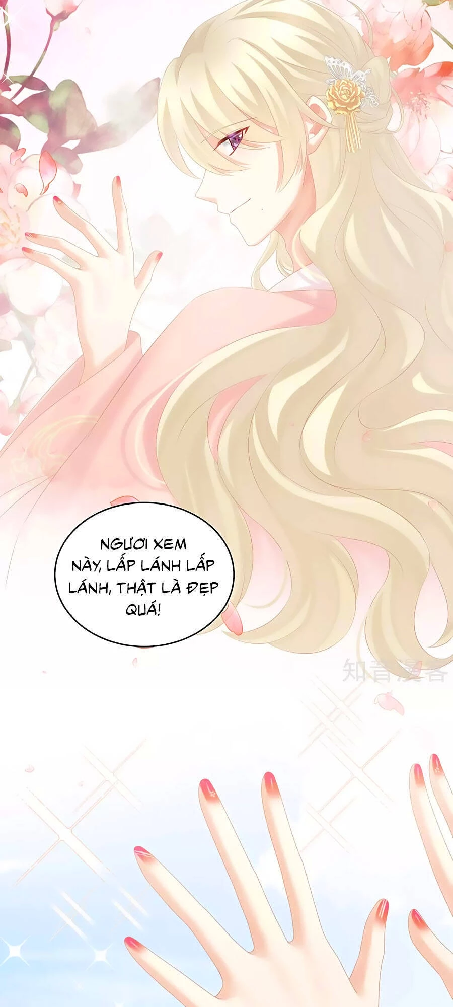 Hậu Cung Của Nữ Đế Chapter 213 - 31