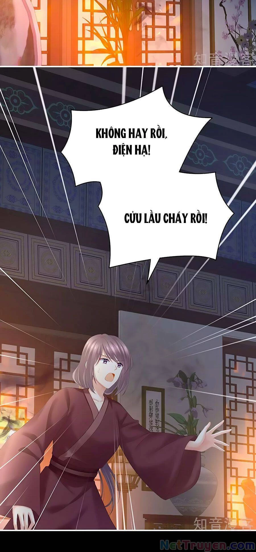 Hậu Cung Của Nữ Đế Chapter 221 - 11
