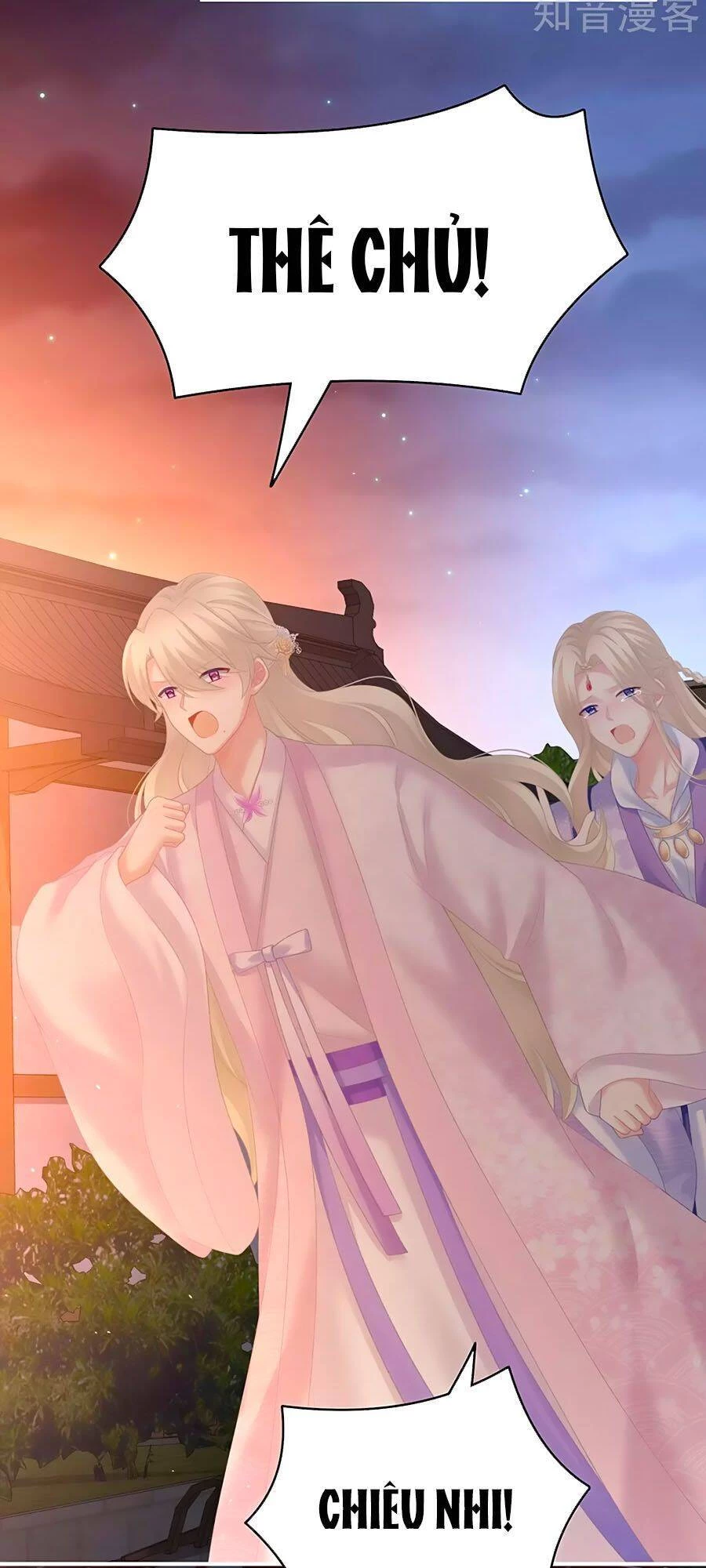 Hậu Cung Của Nữ Đế Chapter 222 - 3