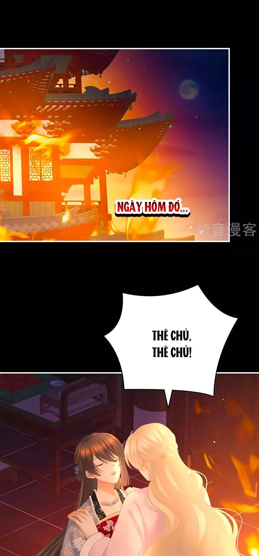 Hậu Cung Của Nữ Đế Chapter 223 - 1