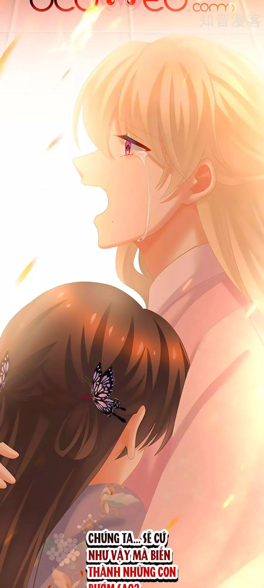 Hậu Cung Của Nữ Đế Chapter 223 - 8