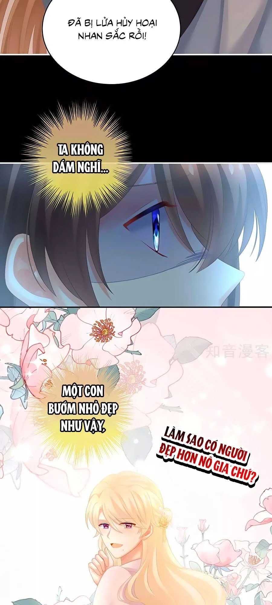 Hậu Cung Của Nữ Đế Chapter 223 - 12