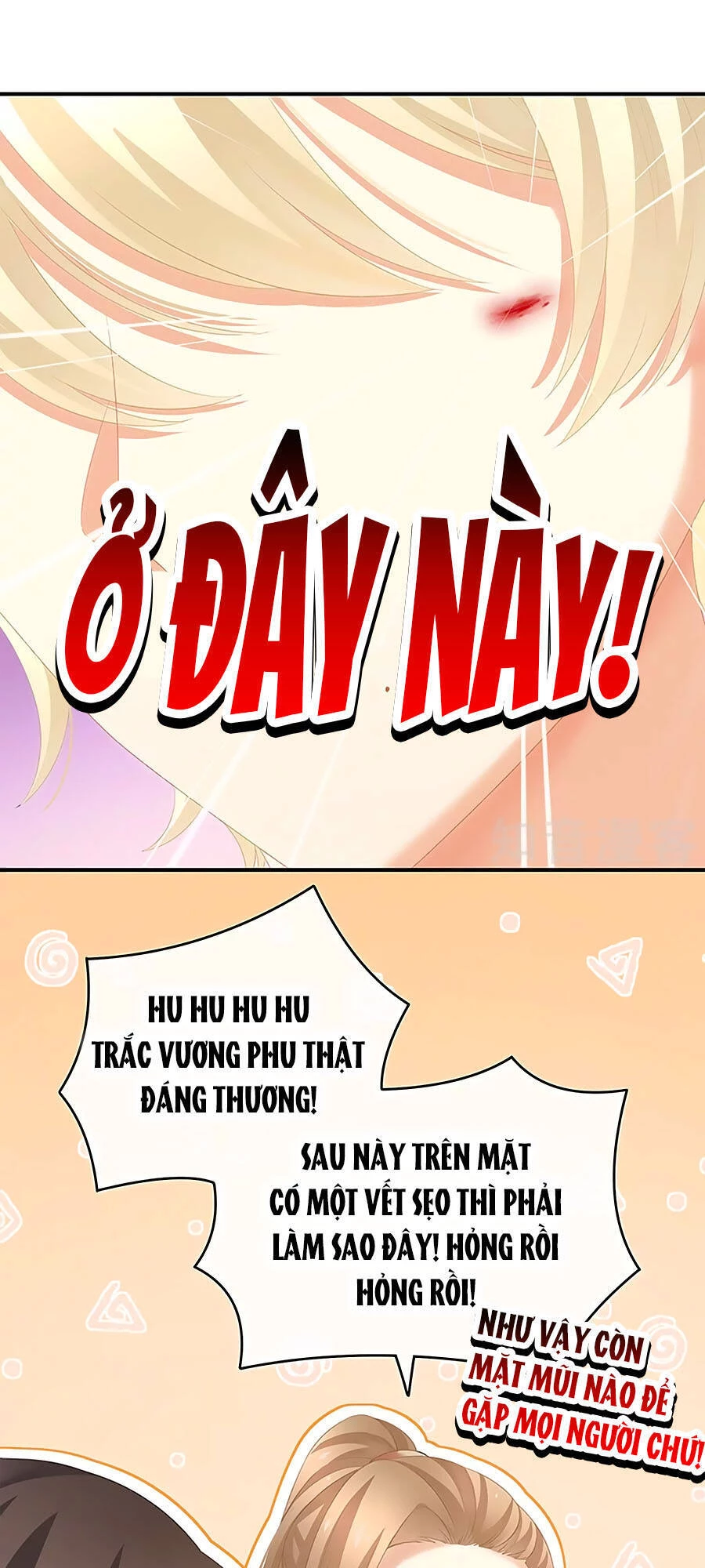 Hậu Cung Của Nữ Đế Chapter 224 - 6